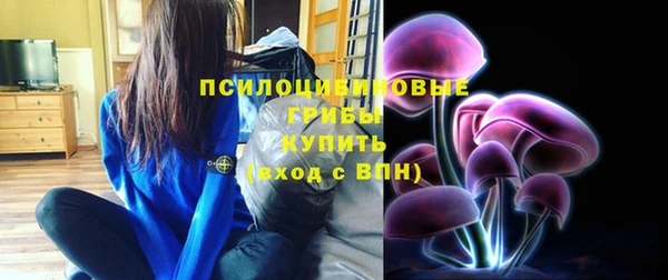 apvp Армянск