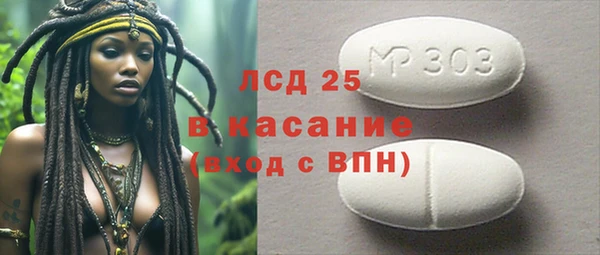 гидра Арсеньев