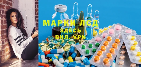 гидра Арсеньев