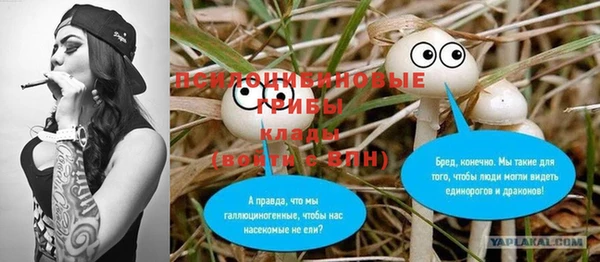 гидра Арсеньев