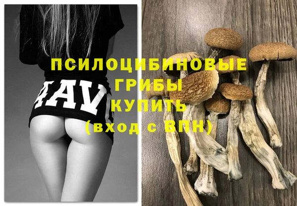 apvp Армянск