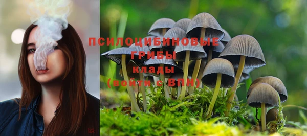 дурь Аркадак