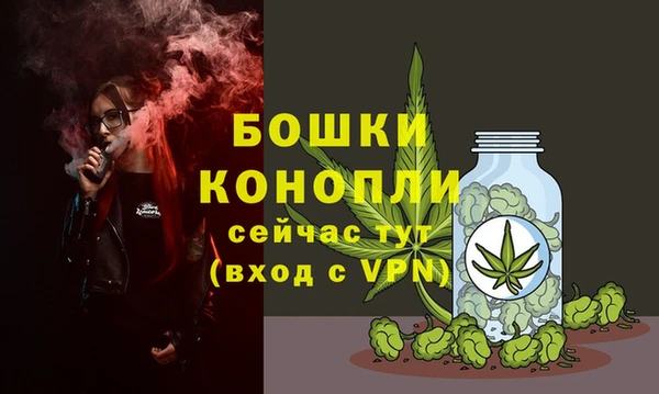 дурь Аркадак