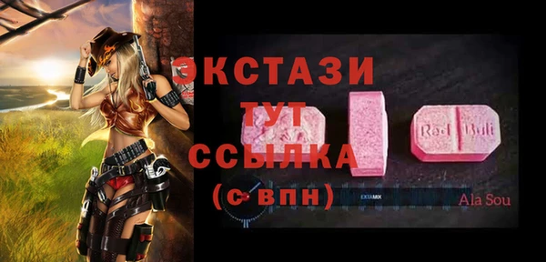 гидра Арсеньев
